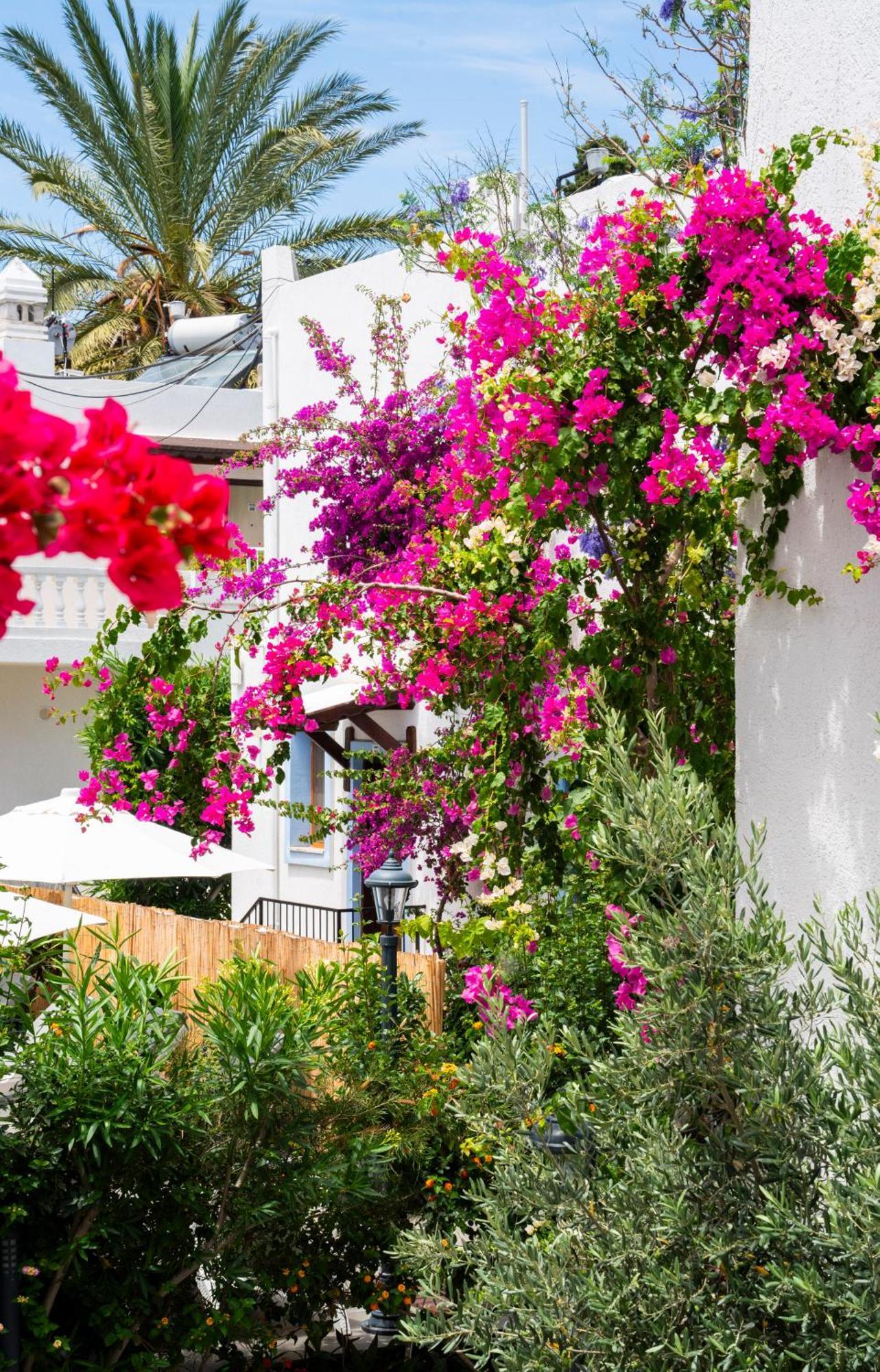 Manuela Boutique Hotel Bitez Eksteriør billede